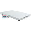 Detecto VET550 Veterinary Scale, 550 lb x 0.2 lb