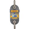 Dillon EDX-Blue-1T EDXtreme Blue Crane Scale (AWT05-509446) 2500 x 0.5 lbs 
