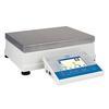 RADWAG C32.25.PM High Capacity Precision Balance 25 kg x 0.1 g
