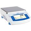 Precision Balances