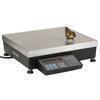 Pennsylvania Scale 7600-50HR Legal for Trade 12 x 14 in Bench Scale 50 X 0.002 lb