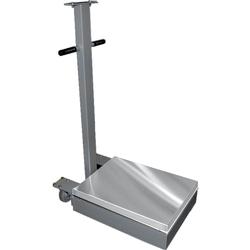 CAS TR2L-1000C Transit 2 Mild Steel 24 x 30 Platform 1000 x 0.2 lb (No Indicator)
