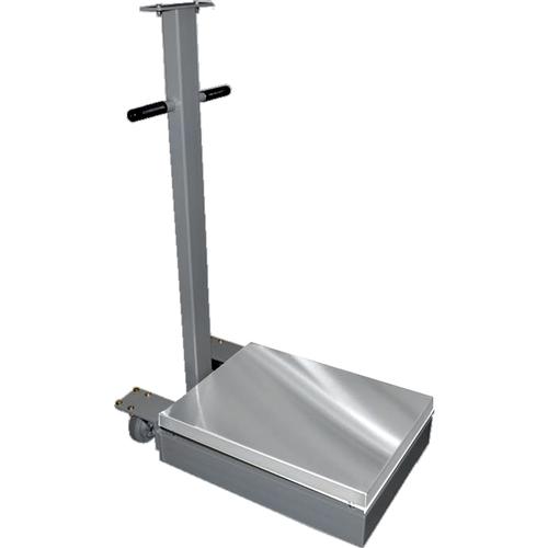 CAS TR2L-1000C Transit 2 Mild Steel 24 x 30 Platform 1000 x 0.2 lb (No Indicator)