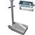 CAS TR2S-500C-CI-2001B Transit 2 Mild Steel 18 x 24 Platform with CI-2001B  500 x 0.1 lb