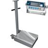 CAS TR2S-500C-CI-2001B Transit 2 Mild Steel 18 x 24 Platform with CI-2001B 500 x 0.1 lb