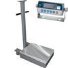 CAS TR2S-1000C-CI-2001B Transit 2 Mild Steel 18 x 24 Platform with CI-2001B 1000 x 0.2 lb