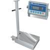 CAS TR2S-1000S-CI-2001BS Transit 2 Stainless Steel 18 x 24 Platform with CI-2001BS 1000 x 0.2 lb