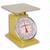 Detecto T-50KP Top Loading Dial Scale, 50 kg x 200 g - 110 lb x 1/4 lb