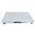 Inscale 33-5-S Stainless Steel Floor Scale, 3 x 3, 5000 x 1 lb