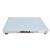 Inscale 46-10-S Stainless Steel Floor Scale, 4 x 6, 10000 x 2 lb