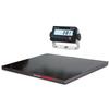 Rice Lake 219279 Roughdeck Floor Scale 4 x 4 Legal for Trade with 381 AA Indicator - 5000 x 1 lb