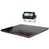 Rice Lake 219280 Roughdeck Floor Scale 4 x 4 Legal for Trade with 381 AA Indicator - 10000 x 2 lb