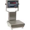 Rice Lake CW-90B-480Plus 