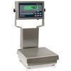 Rice Lake CW-90B-482Plus 201479 Legal for Trade 12 x 12 inch Bench Scale with 12 in Column 100 x 0.0 Rice Lake CW-90B-482Plus