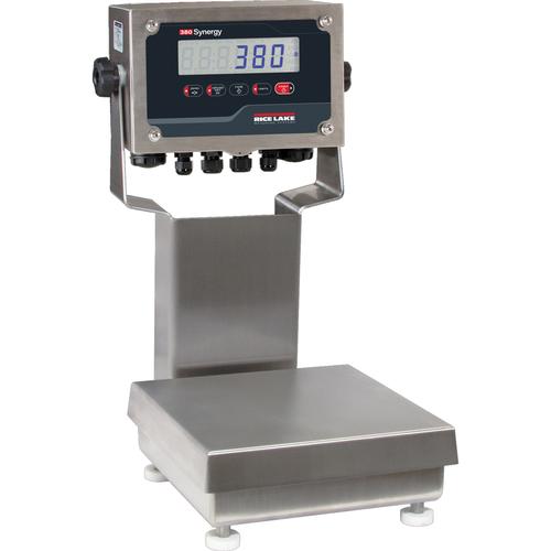 Rice Lake CW-90B-380 Legal For Trade Bench Scales