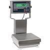 Rice Lake CW-90B-482Plus 201541 IP69K base Legal for Trade 10 x 10 inch Bench Scale with 12 in Colum Rice Lake CW-90B-482Plus