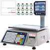 Vision DLP-300-8020 Legal for Trade Price Computing Scale with Column and 1 case of LST-8020 Lables  30 x 0.01 lb and 60 x 0.02 lb