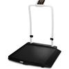 Rice Lake VS-34 Single Ramp with Handrail Veterinary 29 x 32 inch Scale with USB 1000 x 0.2 lb