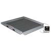 Rice Lake VS-32 Single-ramp Veterinary 34 x 34 inch Scale with USB 1000 x 0.2 lb