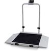 Rice Lake VS-36 Dual-ramp Veterinary 29.50 x 31.50 inch Scale with USB 1000 x 0.2 lb