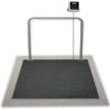 Rice Lake VS-37 In Floor Veterinary 36 x 36 inch Scale with USB 1000 x 0.2 lb