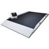 Rice Lake VS-40BLE Dual-ramp Large Animal 49.30 x 32.70 inch Scale with Bluetooth 1000 x 0.2 lb