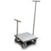 Rice Lake 184465 Class 6 ASTM Clean Room Weight Cart 175 kg
