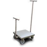 Rice Lake 184464WITHTC with Accredited Certificate Class 6 ASTM Clean Room Weight Cart 150 kg