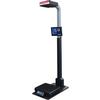 Rice Lake 226086 iDimension Plus Parcel Dimensioning System with Pole Assembly and Scale (Package 2) 