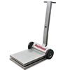 Rice Lake 41298 Deckhand DH2000SS Legal for Trade Stainless Steel 2000 lb - Base Only