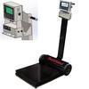 Rice Lake 211287-882IS Deckhand Legal For Trade Portable Bench Scale with  882IS Indicator 2000 x 1 lb