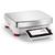 Ohaus EXP24001 Explorer Pro Precision Balance (31059200)  24000 x 0.1 g