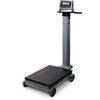 Rice Lake RL1200 EM 380 Synergy Electromechanical NTEP Portable Beam Scale - 1000 lb x 0.5 lb