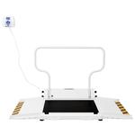 Seca XLine ONSWXADANN Wheelchair Handrail Scale ADA-Compliant with ID Display - 1100 x 0.2 lb