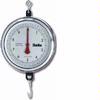 Chatillon  K4230DD-X-H Mechanical Hanging 9 inch Scale with Hook, Double Dial, 30 kg x 50 g