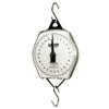 Salter Brecknell 235-6S-220 Mechanical Hanging Scales, 220 lb x 1 lb