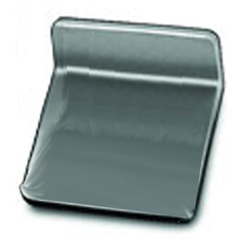 Rice Lake 12700 Leaf Class F NIST Troy Individual Weight 0.01 ozt