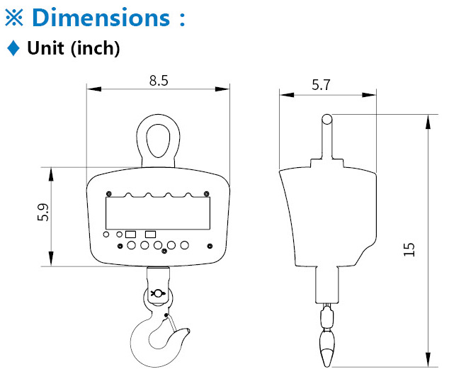 LP-Scale LP7651 Crane Scales