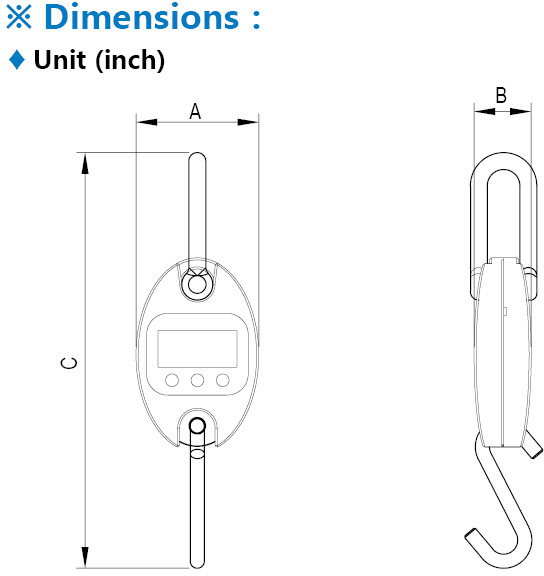 LP-Scale LP7652 Crane Scales