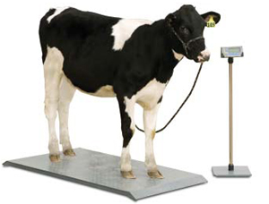 Animal & Vet Scales