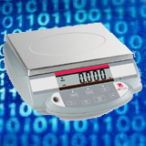 Top Brand of Digital Scales