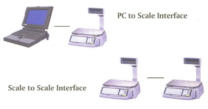 Easy Weigh LS-100 Price Computing Scales