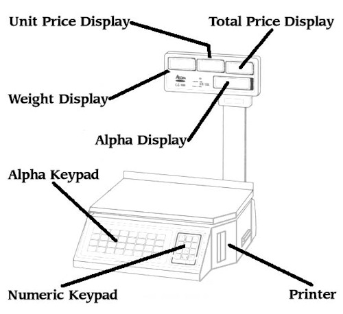 Easy Weigh LS-100 Price Computing Scales