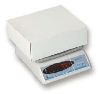 Salter 405 Digital Scales