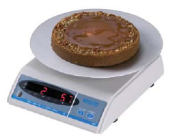 Salter 405 Digital Scales