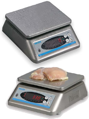 Salter Brecknell Pegasus Digital Floor Scales