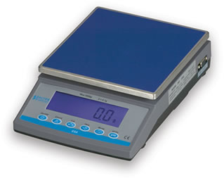 Salter ESA Digital Scales