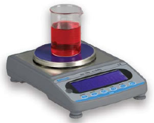 Salter ESA Digital Scales