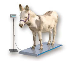 Salter Brecknell PS-Series Floor Scales - Optional Table Stand