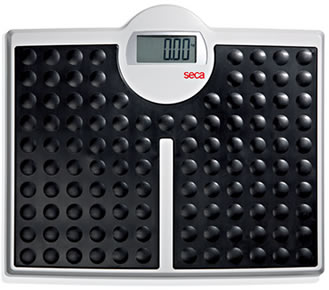 Seca 813 Robusta High Capacity Digital Floor Scale